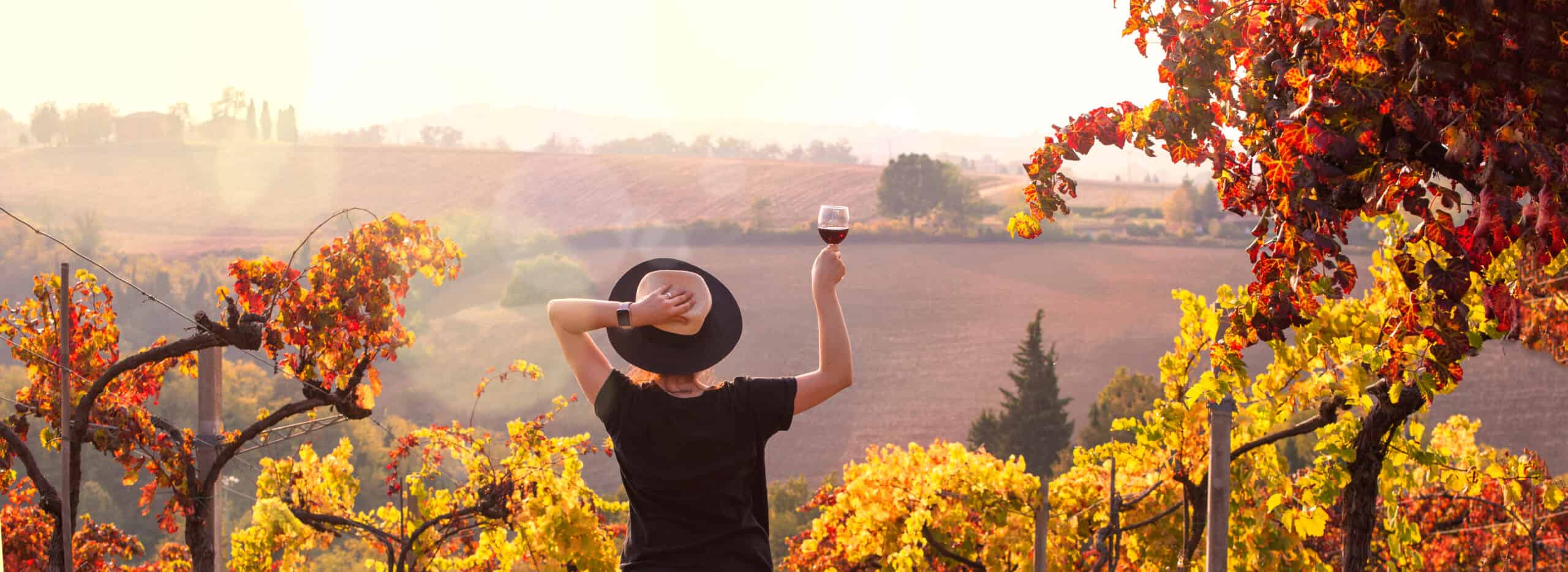 Girl in a hat at sunset and a glass of wine in hand. Nature Italy, hills and grape fields the sunlight. Glare and sun rays in the frame. Free space for text. Copy space